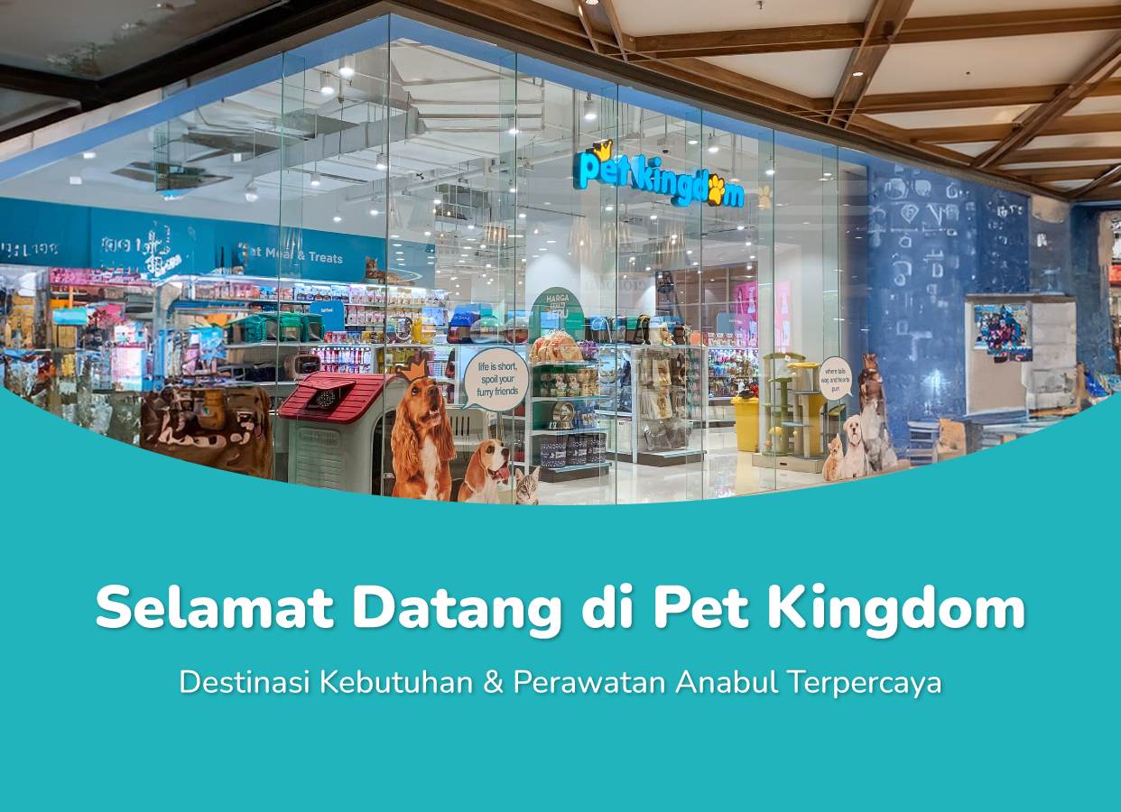 Selamat Datang di Pet Kingdom!