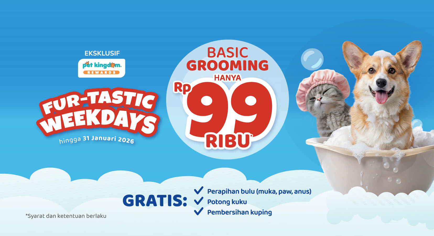 FUR-TASTIC WEEKDAYS: Basic Grooming hanya 99 Ribu