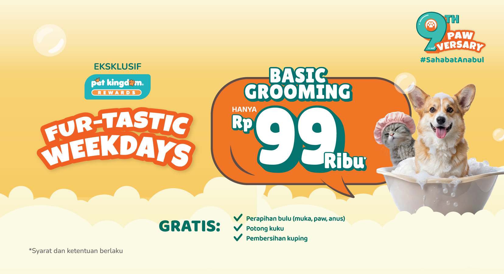 FUR-TASTIC WEEKDAYS: Basic Grooming hanya 99 Ribu