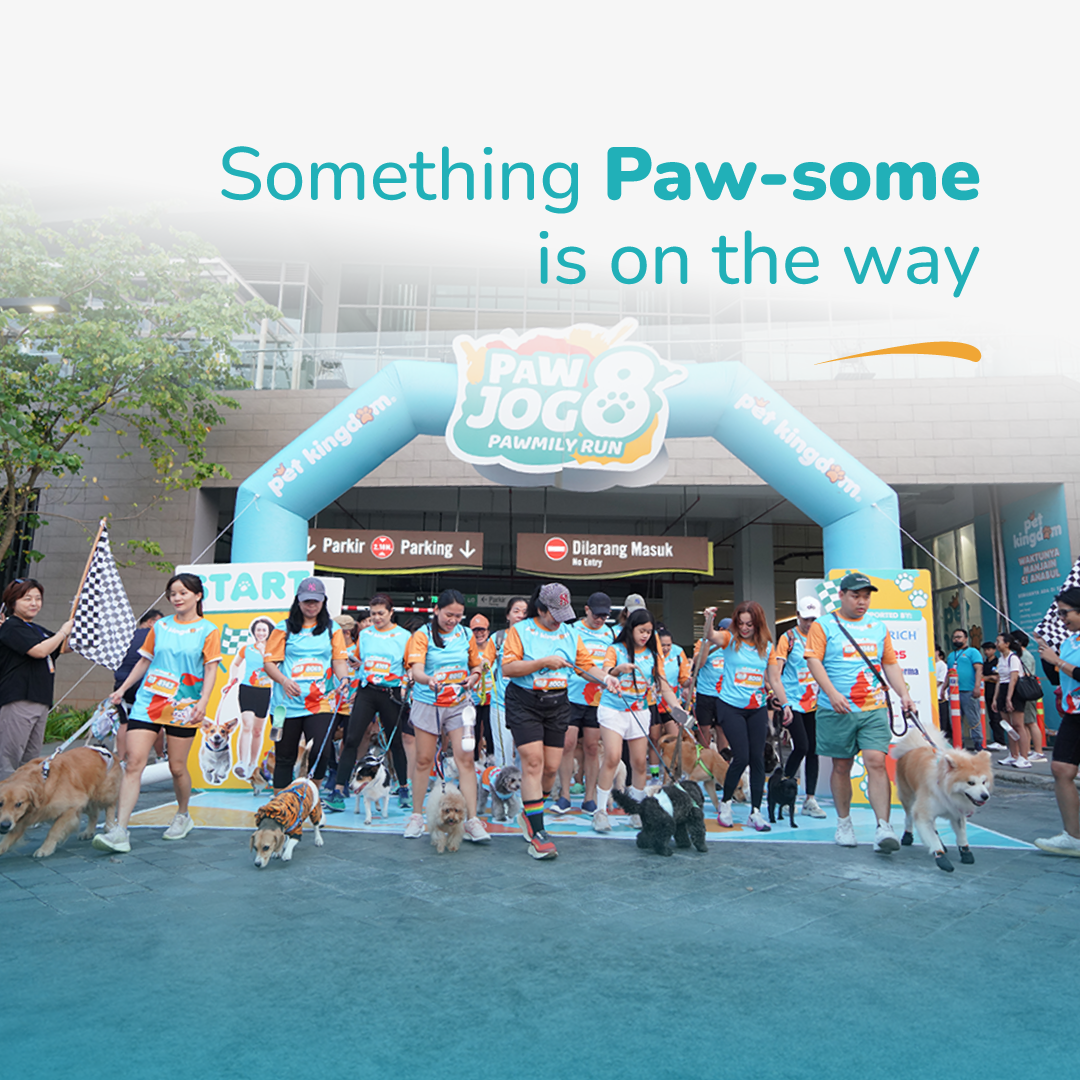 Something Pawsome is On The Way!