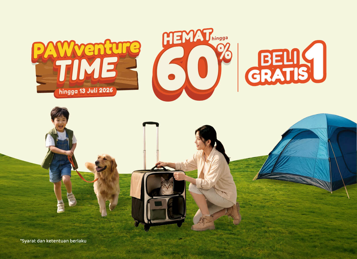 Pet Kingdom Pawventure Time