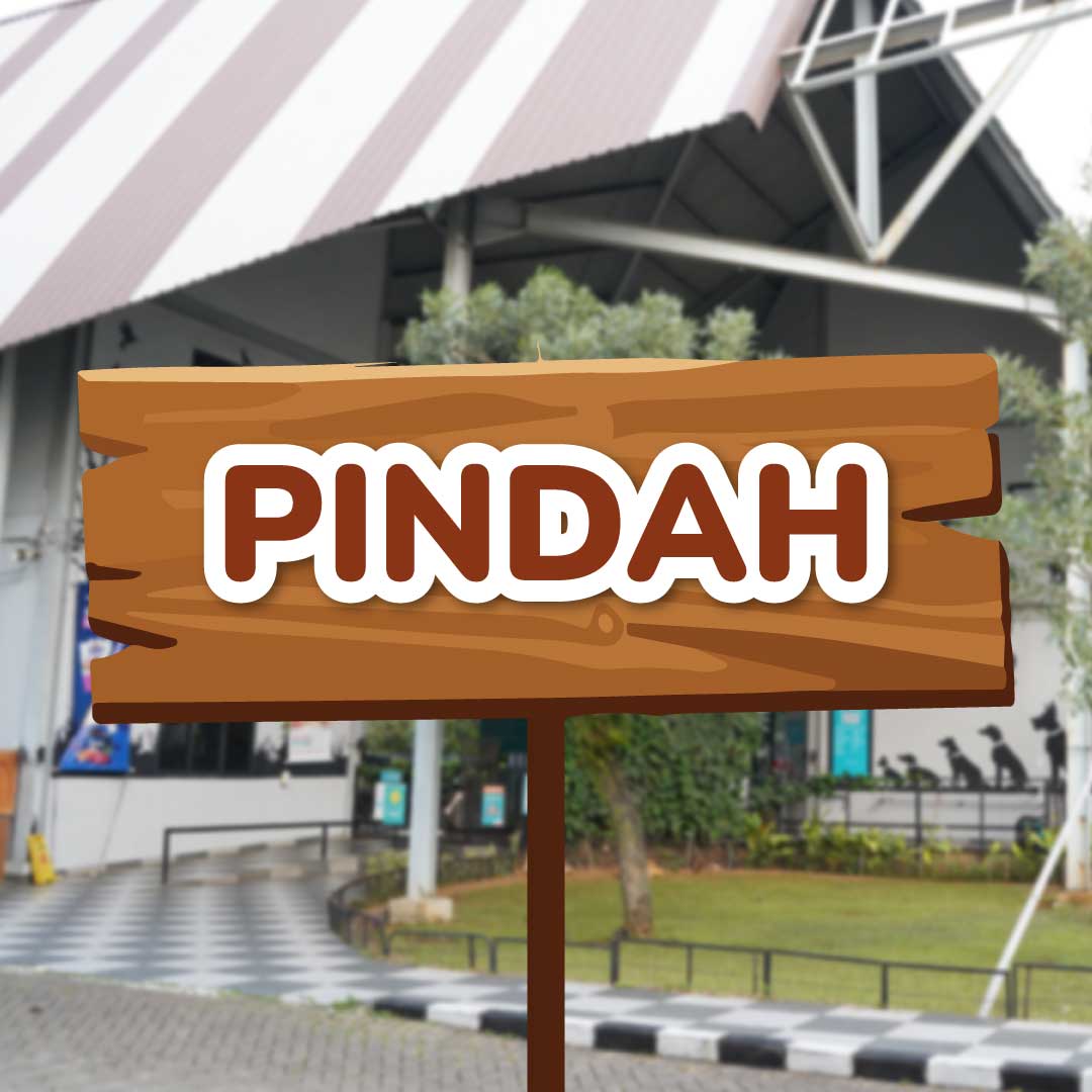 Ada Kabar dari Pet Kingdom Alam Sutera, Nih, Pawrents…