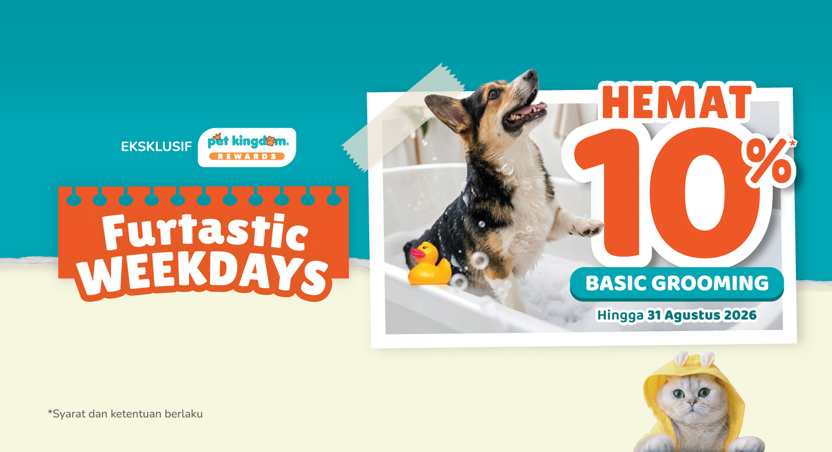 Furtastic Weekdays Pet Kingdom