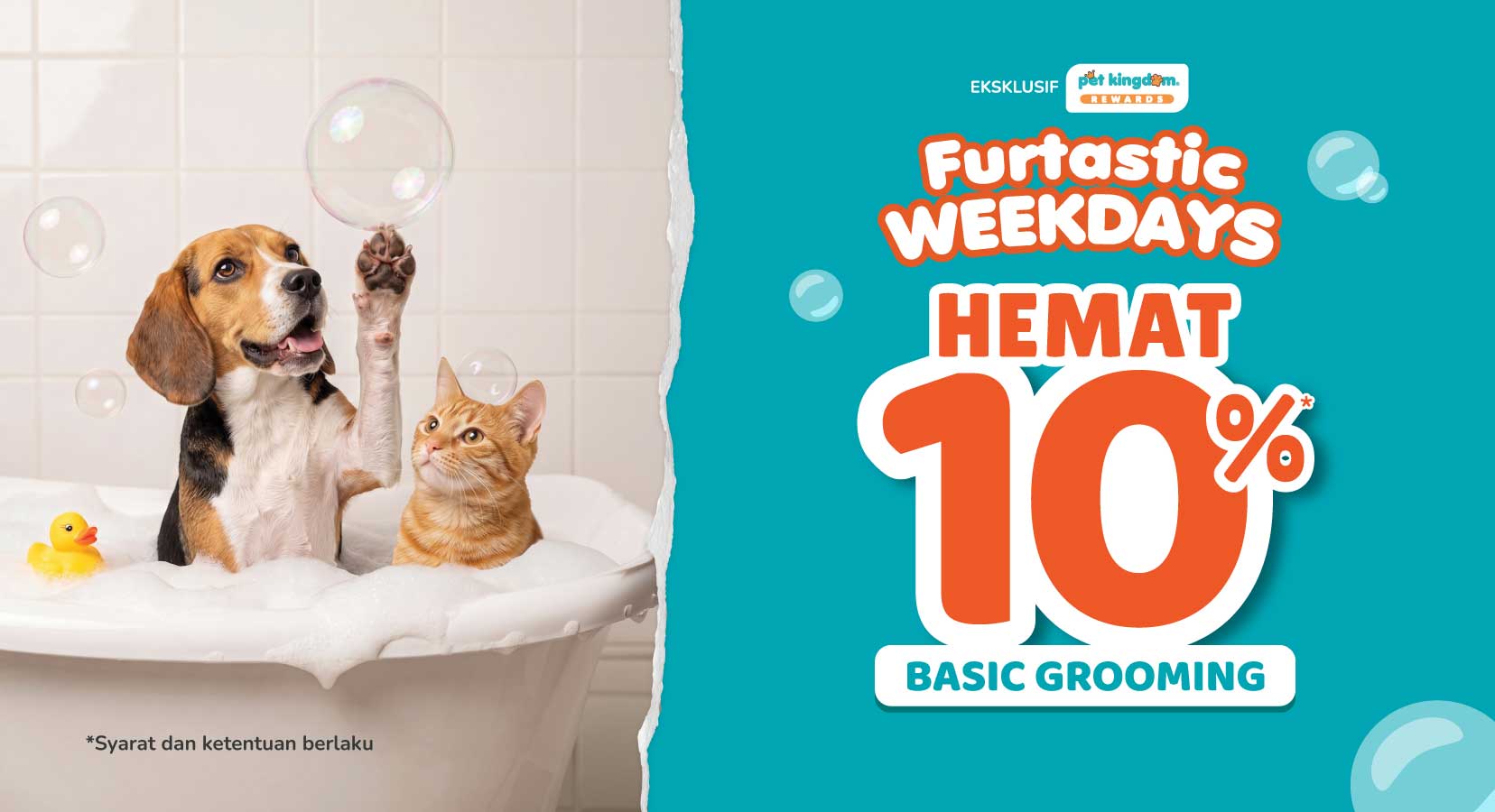Furtastic Weekdays Pet Kingdom