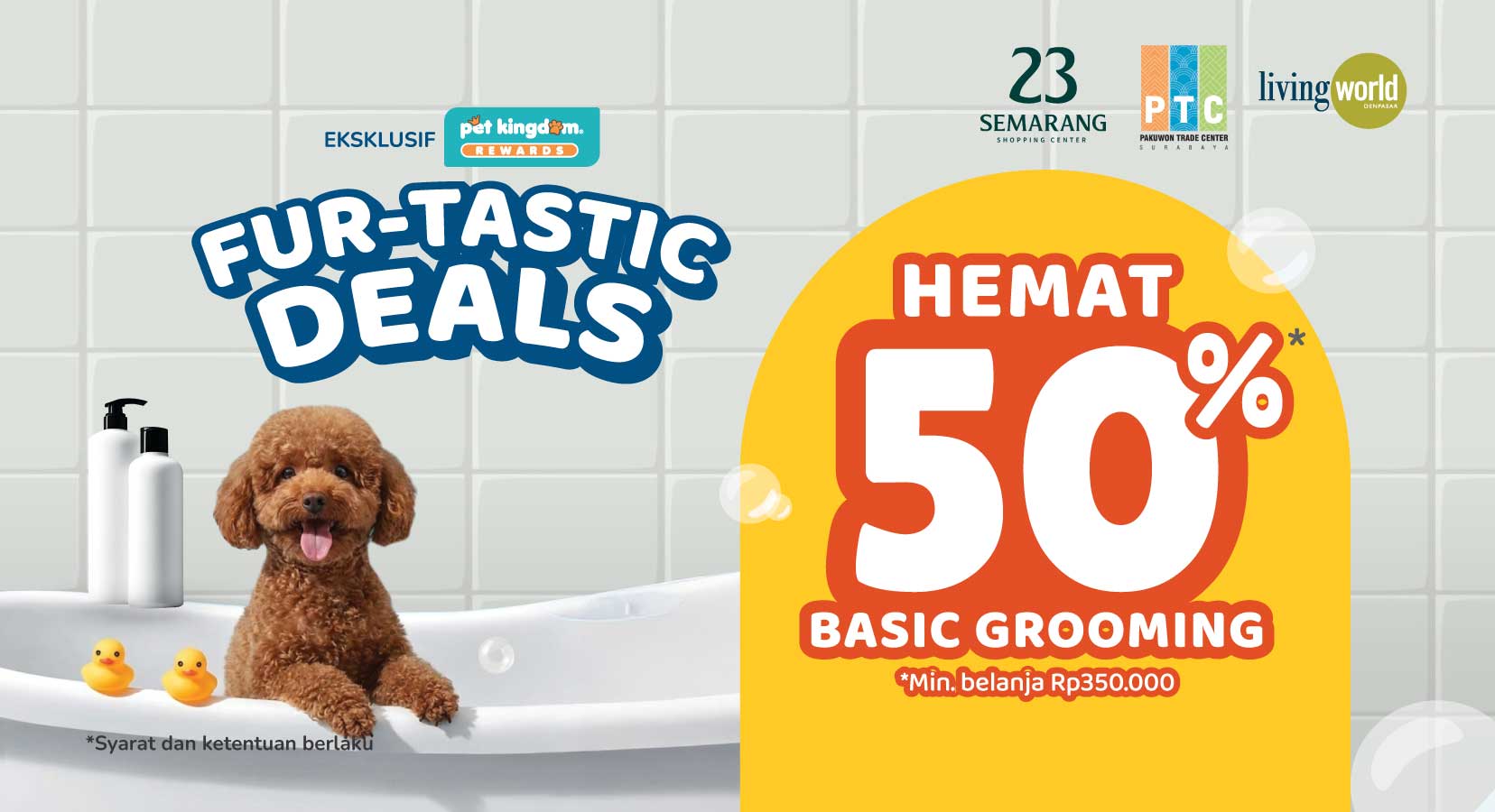 Furtastic Deals, Hemat 50%* Basic Grooming