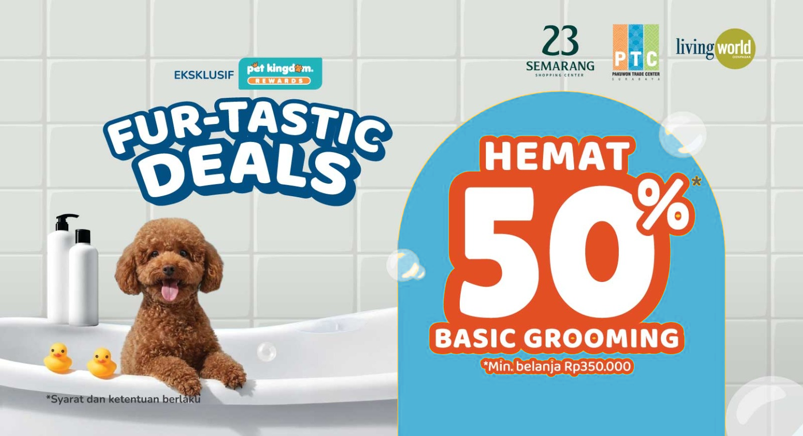 Furtastic Deals, Hemat 50%* Basic Grooming