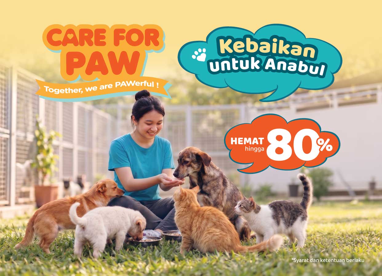 Pet Kingdom: Care for PAW