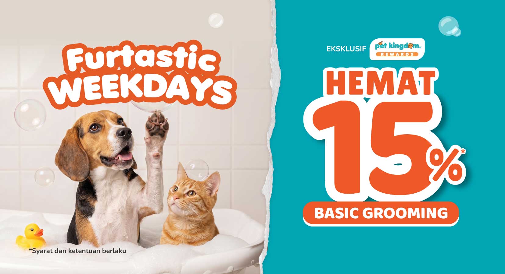 Furtastic Weekdays Pet Kingdom